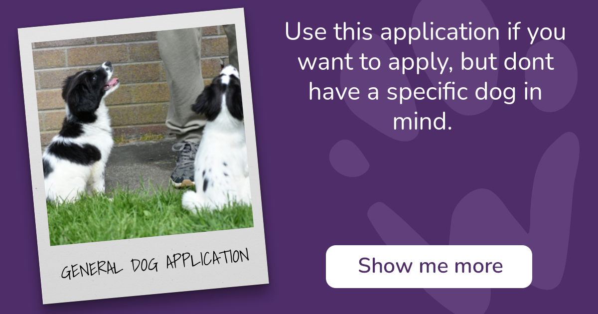 PAW - The Pet Adoption Website - GENERAL DOG APPLICATION